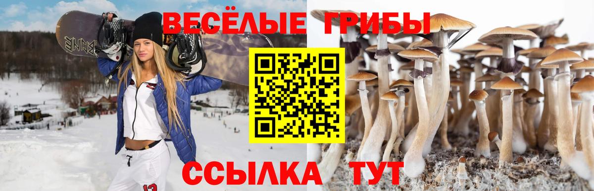 Джанкой  Псилоцибиновые грибы мухоморы  наркота  Вход с VPN 